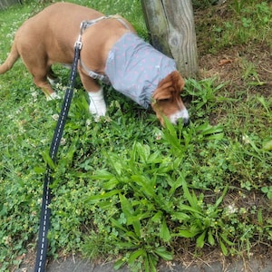 Elysa added a photo of their purchase