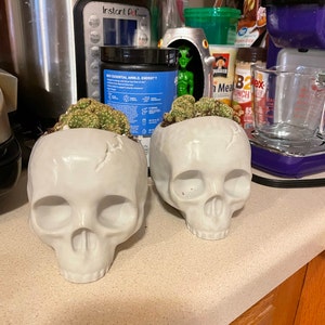 Ashley added a photo of their purchase