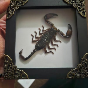 Jordon added a photo of their purchase