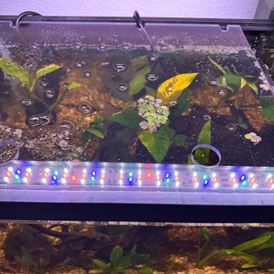 Andrea added a photo of their purchase