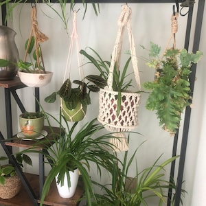 Stephanie added a photo of their purchase