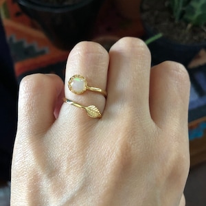 Paola さんが購入した商品の写真を追加しました