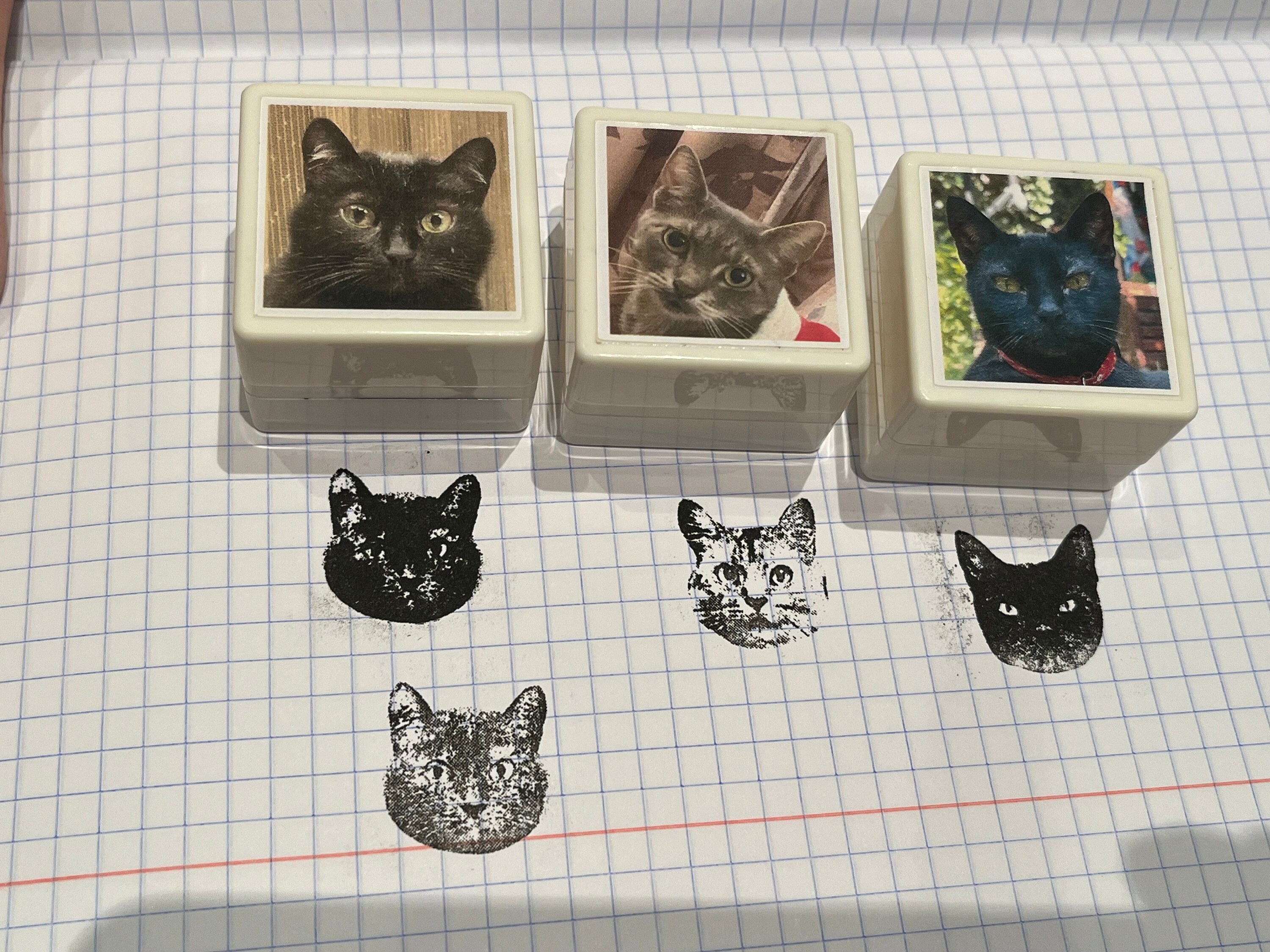 Personalized Custom Cat Portrait Ink Stamp - Unique Pet Face Stamp for Cat Lovers - Customizable Gift!