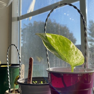 Etsy buyer added a photo of their purchase