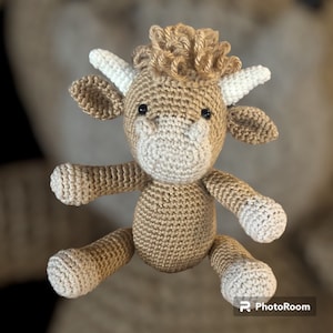 Amelia added a photo of their purchase