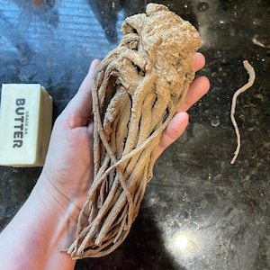 J.L. added a photo of their purchase