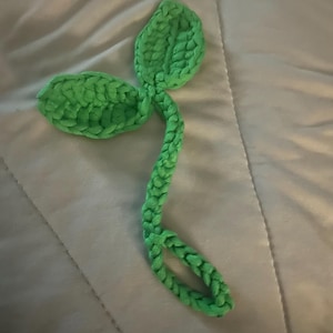 Erin added a photo of their purchase