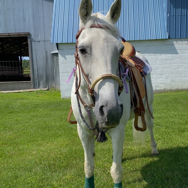 Tack Bosal Tressé à la main en cuir brut plaqué à la main 1,6 cm d