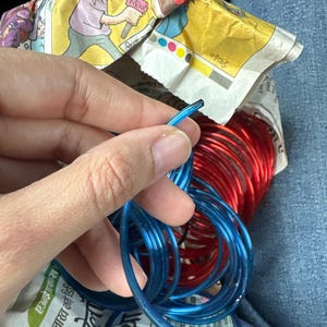 Shruti added a photo of their purchase