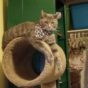 Katelyn added a photo of their purchase