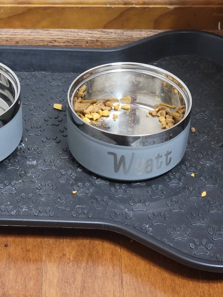 Custom Dog Bowl, Personalized Dog Food Bowl with Name, Dog Food/Water Bowls, Small-Large Bowls for Pet, Stainless Steel Cat Feeder Bowl Pet Gift