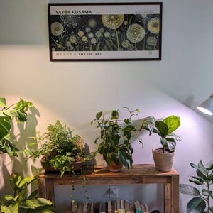 Jennifer a ajouté une photo de son achat