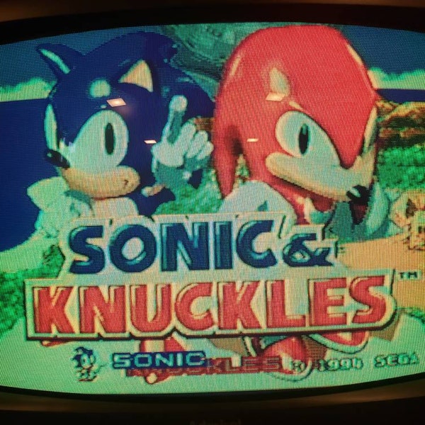 Sonic and Knuckles Sega Genesis Cartridge: Retro 1990s Platformer, Lock ...