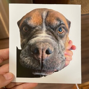 Etsy buyer added a photo of their purchase