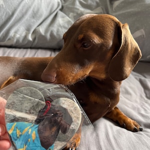 Liberty added a photo of their purchase