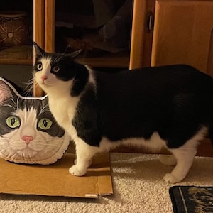 Virginia added a photo of their purchase