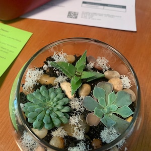Jamie added a photo of their purchase