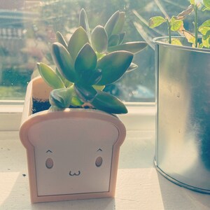 Emily added a photo of their purchase