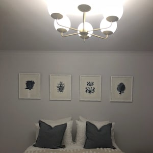 Carolanne heeft een foto van de aankoop toegevoegd