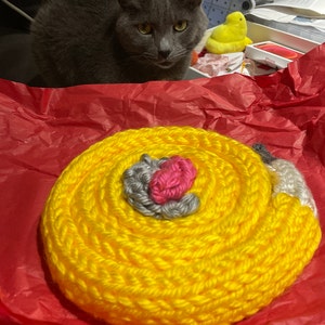 Alex added a photo of their purchase