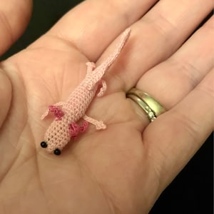 Beth added a photo of their purchase