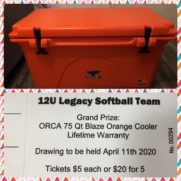 250 RAFFLE TICKETS Custom Printed Numbered Raffle Tickets Fundraiser ...