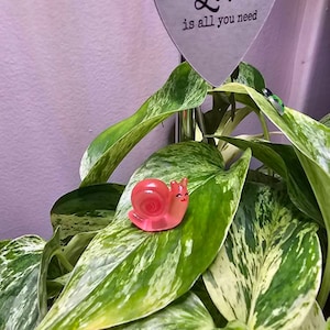 Ashlee added a photo of their purchase