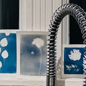 Rene ha añadido una foto de su compra