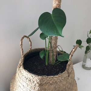 Emily added a photo of their purchase