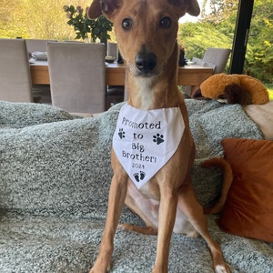 Emma added a photo of their purchase