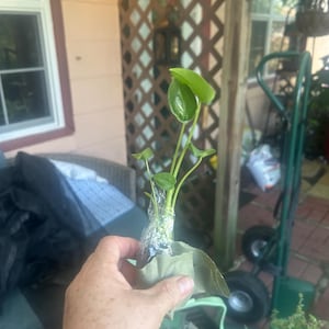 Mildred added a photo of their purchase