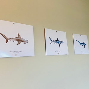 Nicole added a photo of their purchase