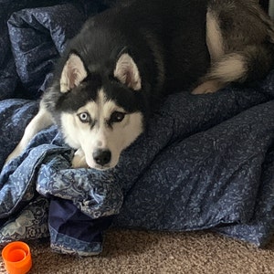 Bruce added a photo of their purchase
