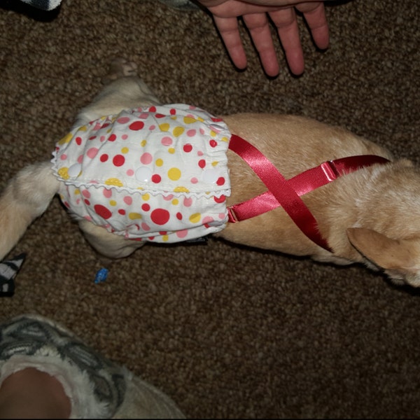 Reusable Dog Diapers Female Dog Suspender Panties with Adjustable