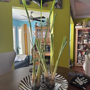 Beverly added a photo of their purchase