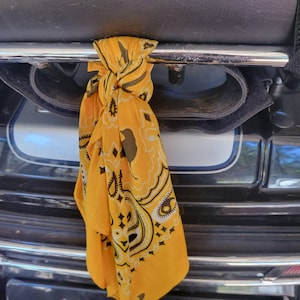 Amanda added a photo of their purchase