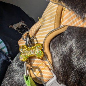 Handmade holographic glitter resin pet dog cat name ID tag