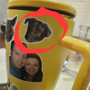 Addie added a photo of their purchase