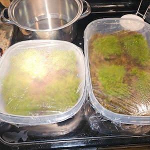 Mark added a photo of their purchase