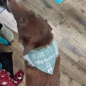Hannah added a photo of their purchase