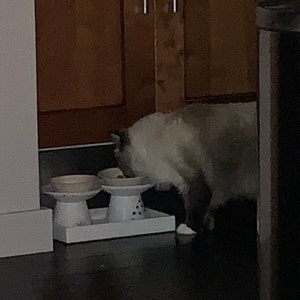 MJ added a photo of their purchase