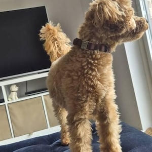 Claire heeft een foto van de aankoop toegevoegd