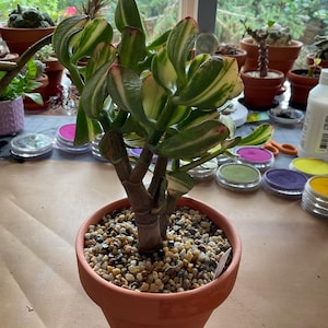 Acquirente Etsy ha aggiunto una foto del proprio acquisto