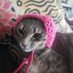 最終値下げandwang Fluffy cat knit hat Fluffy cat knit hat