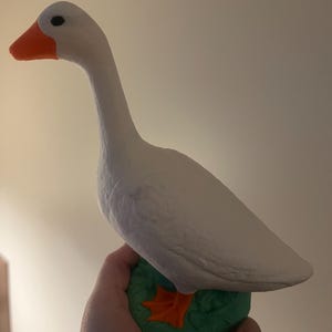 Joanna hat ein Foto des gekauften Artikels hinzugefügt