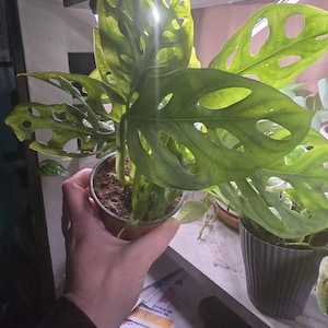Ashley added a photo of their purchase