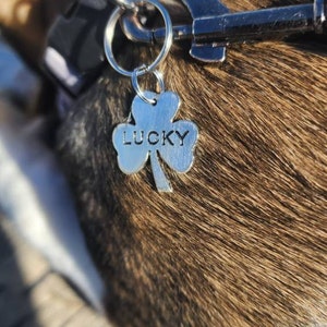 Brian added a photo of their purchase