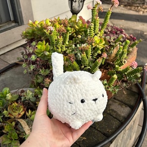 Luca added a photo of their purchase