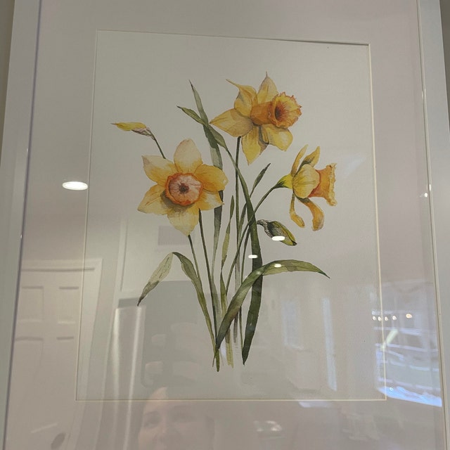 水仙の花の水彩画プリント | 水仙のアートプリント | 水仙の絵画