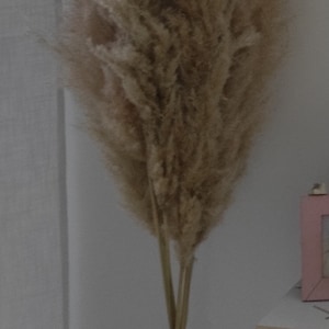 Marti ha aggiunto una foto del proprio acquisto